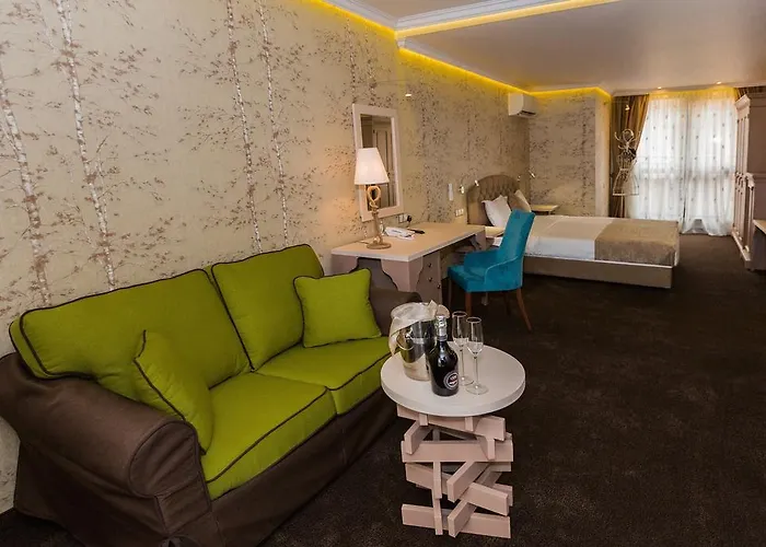 艺术旅馆 招待所